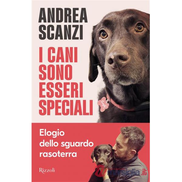 Cani sono esseri speciali. Elogio dello sguardo rasoterra (I)