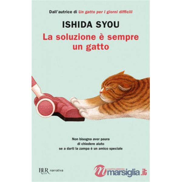 Soluzione è sempre un gatto (La)