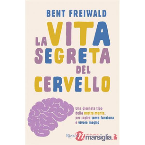 Vita segreta del cervello. Una giornata tipo nella nostra mente, per capire come funziona e vivere meglio (La)