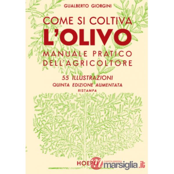 Come si coltiva l'olivo