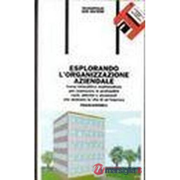 Esplorando l'organizzazione aziendale. Corso interattivo multimediale per conosc