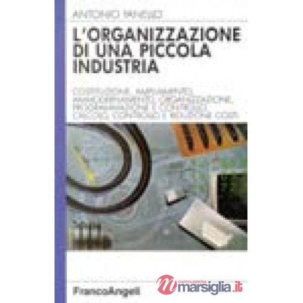 Organizzazione di una piccola industria (L')