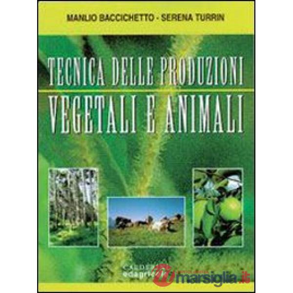 TECNICHE DELLE PRODUZIONI