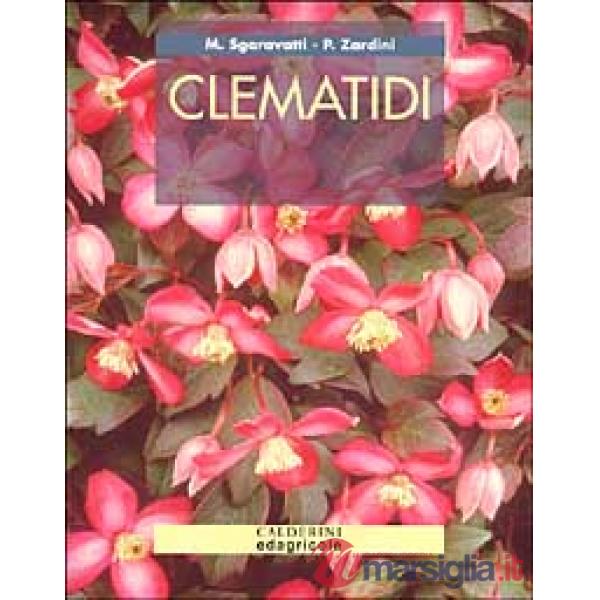 Clematidi