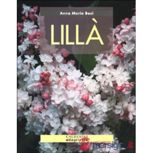 Lillà