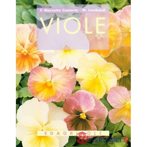 Viole