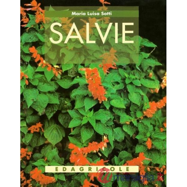 Salvie