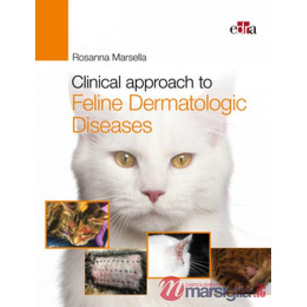Clinical approach to feline dermatologic diseases