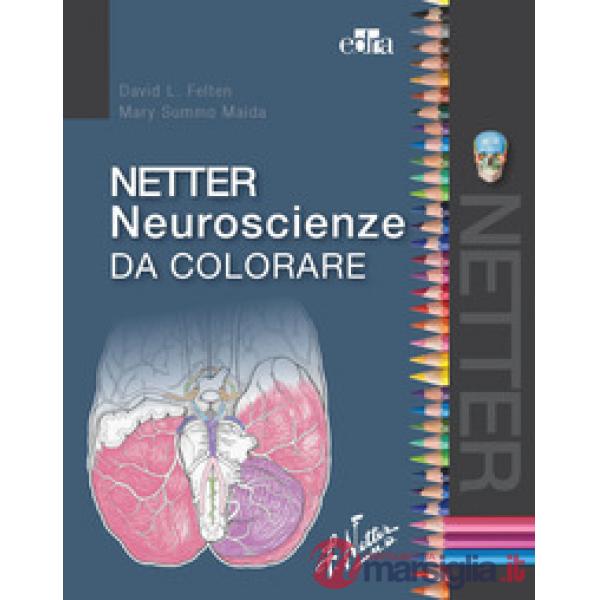 Netter neuroscienze da colorare