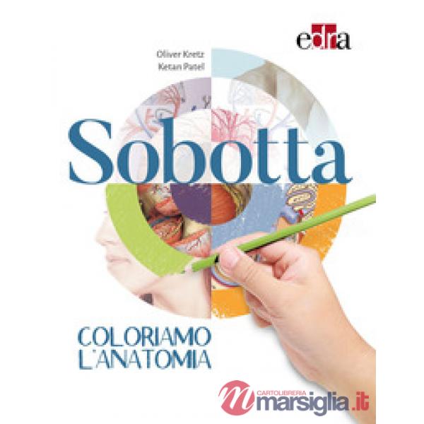 Sobotta. Coloriamo l'anatomia