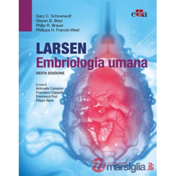 Larsen embriologia umana