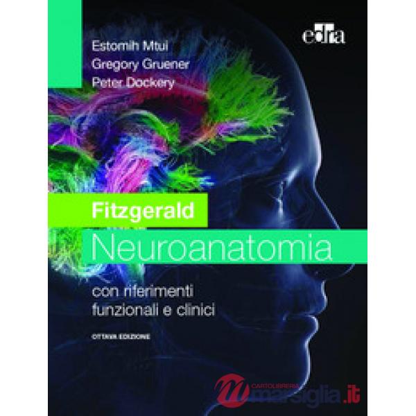 Fitzgerald. Neuroanatomia con riferimenti funzionali e clinici