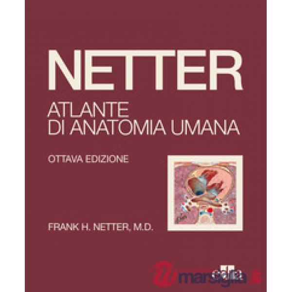 Netter. Atlante di anatomia umana