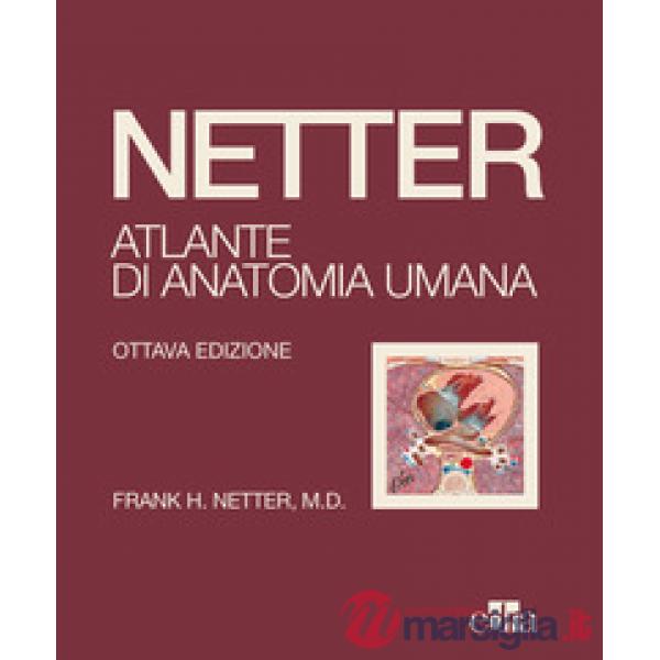 Netter. Atlante di anatomia umana