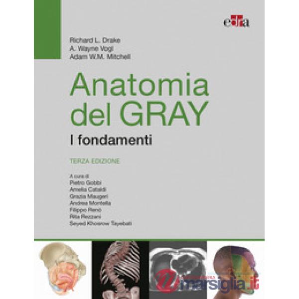 Anatomia del Gray. I fondamenti
