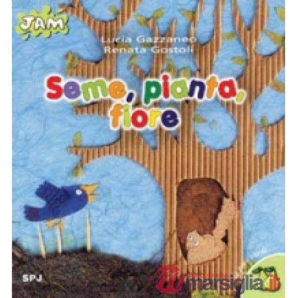 Seme, pianta, fiore