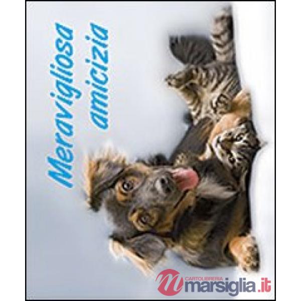 Meravigliosa amicizia