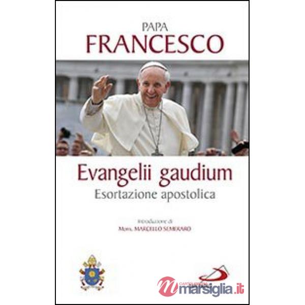 Evangelii gaudium. Esortazione apostolica
