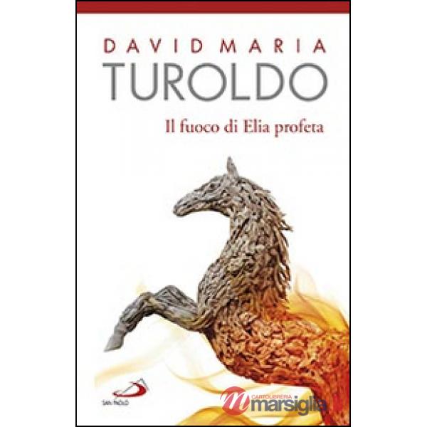 Fuoco di Elia profeta. Omelie 1989-1990. Testamento spirituale (Il)