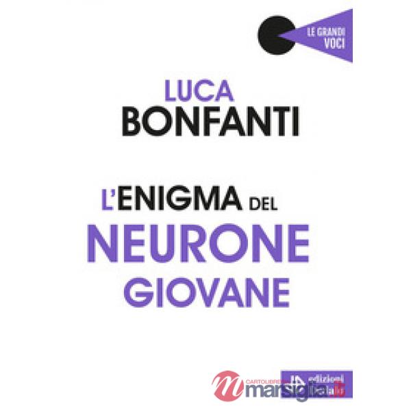 Enigma del neurone giovane (L')