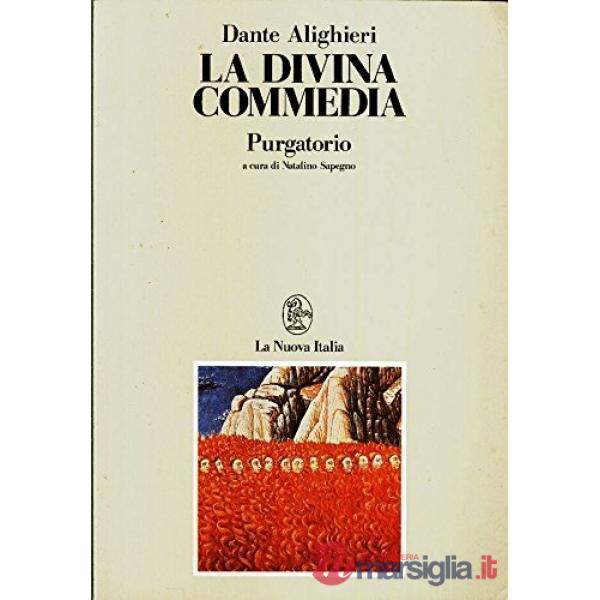 DIVINA COMMEDIA (SAPEGNO) PURGATORIO