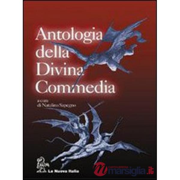 ANTOL. DIV.COMM. SET