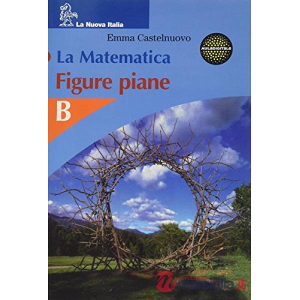 MATEMATICA FIGURE PIANE B