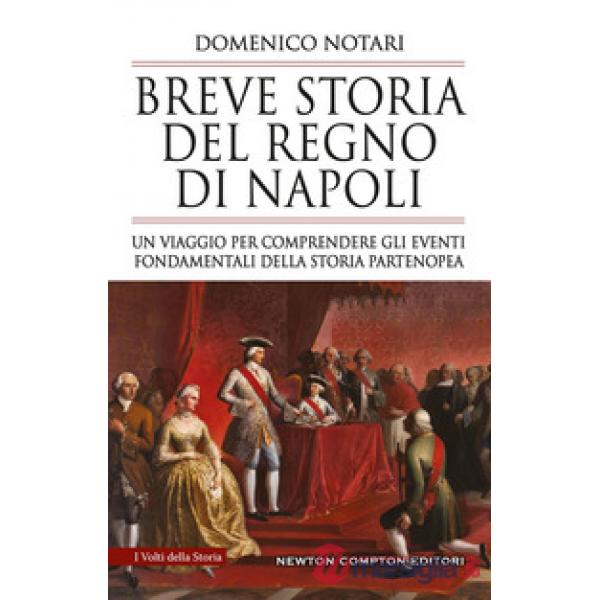Breve storia del Regno di Napoli. Un viaggio per comprendere gli eventi fondamentali della storia partenopea