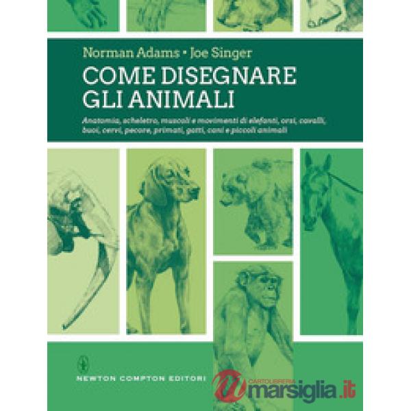 Come disegnare gli animali
