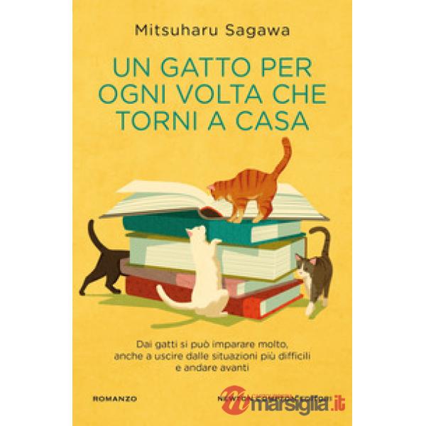Gatto per ogni volta che torni a casa (Un)