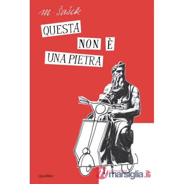 Questa non è una pietra. Ediz. illustrata