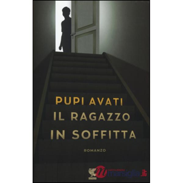 Ragazzo in soffitta (Il)