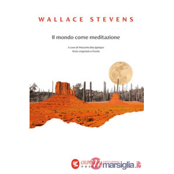 Mondo come meditazione. Testo inglese a fronte (Il)