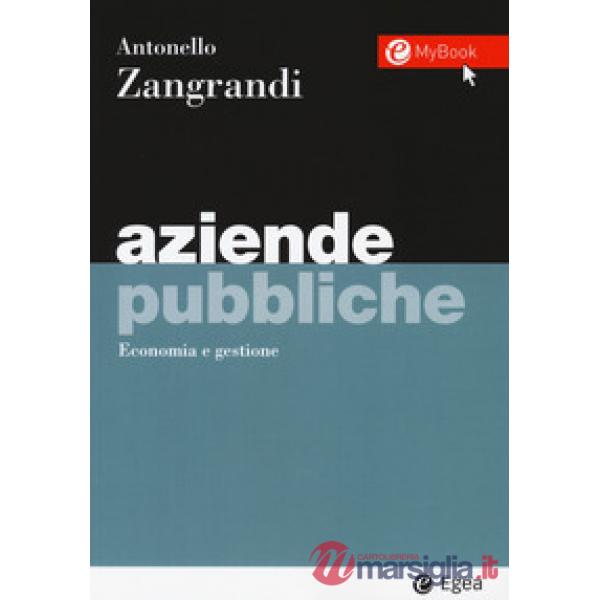 Aziende pubbliche. Economia e gestione. Con Contenuto digitale per accesso online