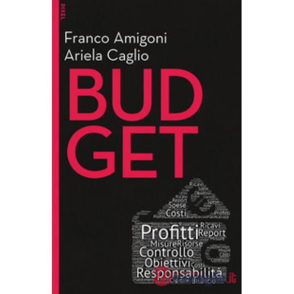 Budget. Con Contenuto digitale per download e accesso online
