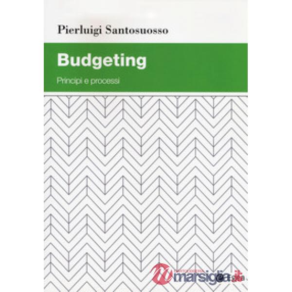 Budgeting. Principi e processi