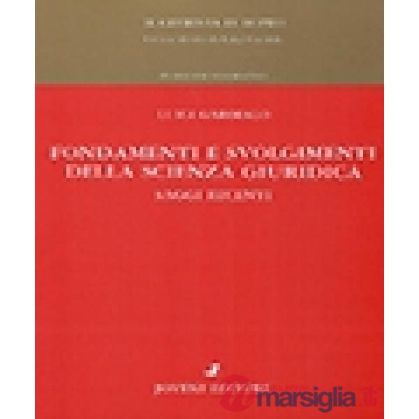 Fondamenti e svolgimenti della scienza giuridica. Saggi recenti
