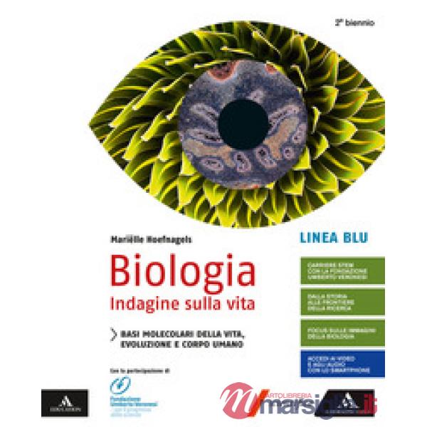 BIOLOGIA-LINEA BLU BASI MOLECOLARI DELLA VITA EVOLUZIONE E CORPO UMANO