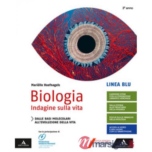 BIOLOGIA-LINEA BLU DALLE BASI MOLECOLARI ALL'EVOLUZIONE DELLA VITA