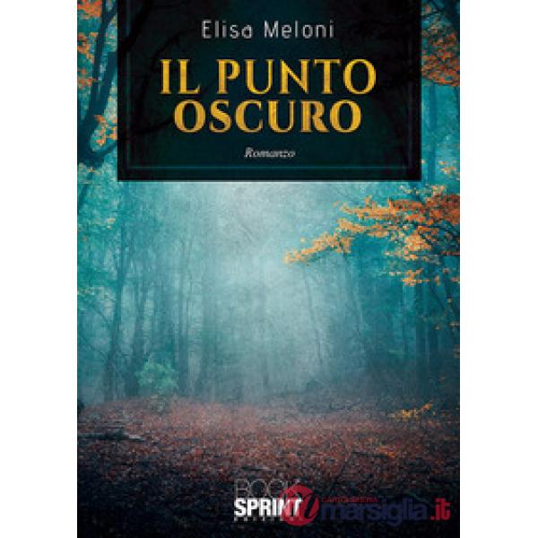 Il punto oscuro