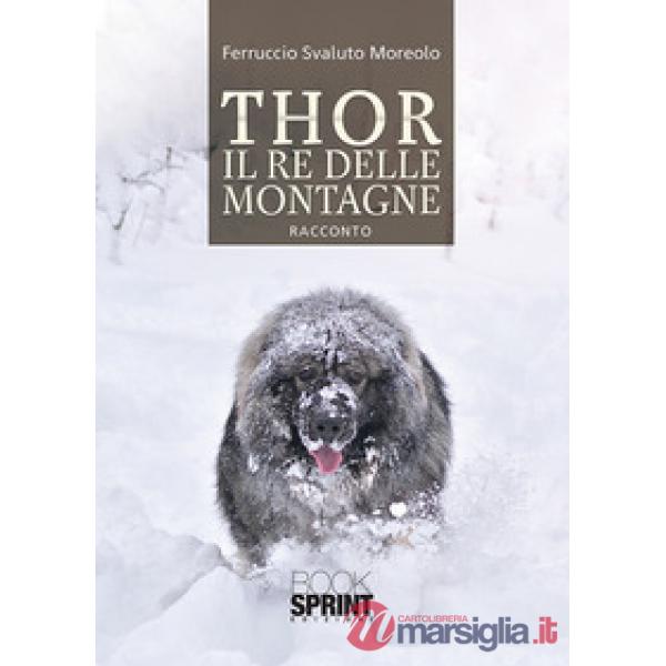 Thor il re delle montagne
