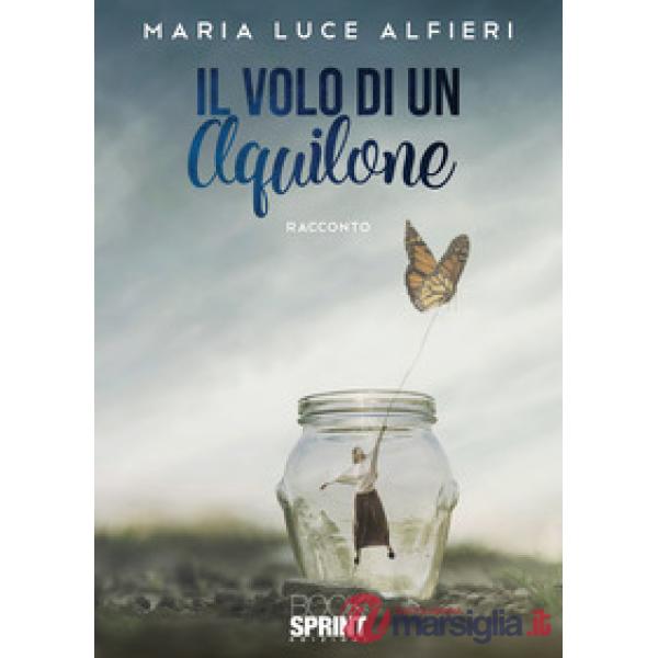 Il volo di un aquilone
