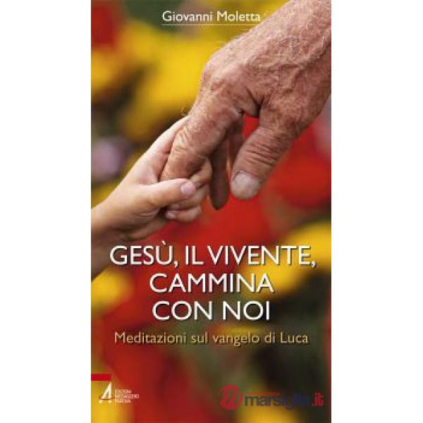 Gesù, il vivente, cammina con noi. Meditazioni sul Vangelo di Luca