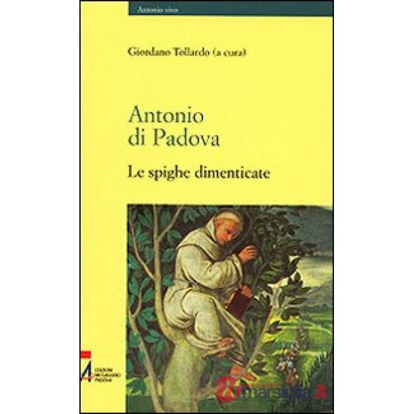 Antonio di Padova. Le spighe dimenticate