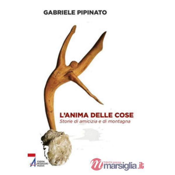 Anima delle cose. Storie di amicizia e di montagna (L')