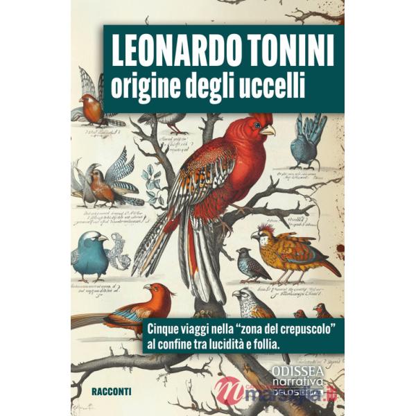 Origine degli uccelli