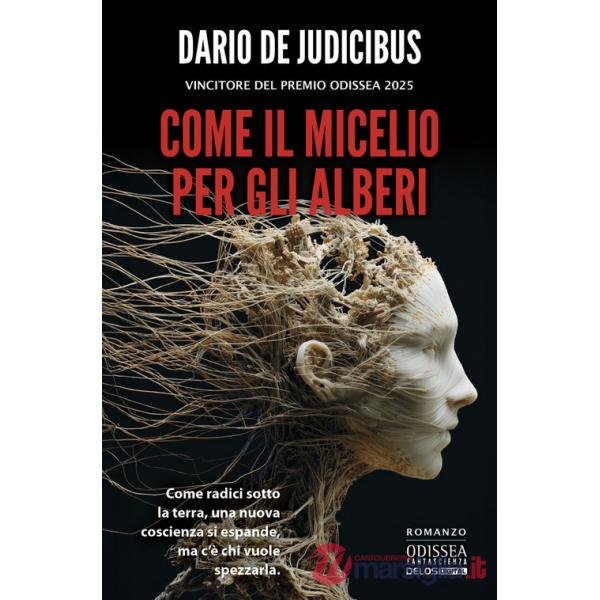 Come il micelio per gli alberi