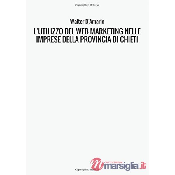 Utilizzo del web marketing nelle imprese della provincia di Chieti. Focus on: le