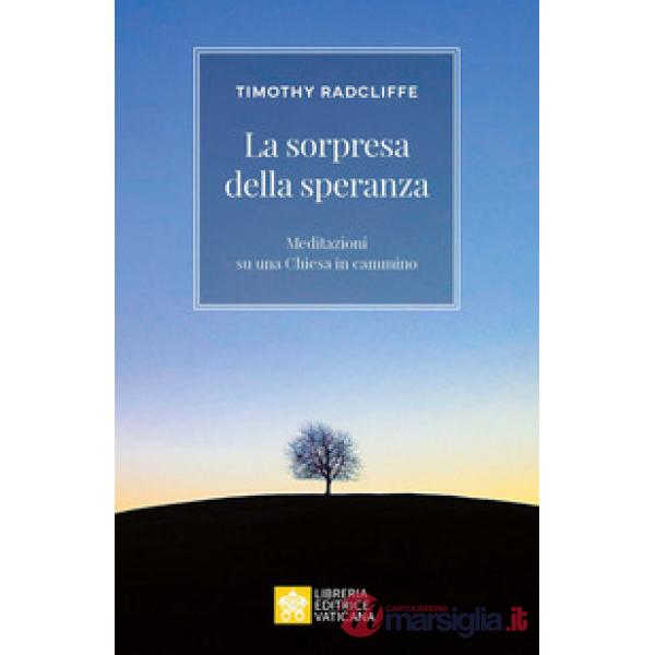 Sorpresa della speranza. Meditazioni su una Chiesa in cammino (La)