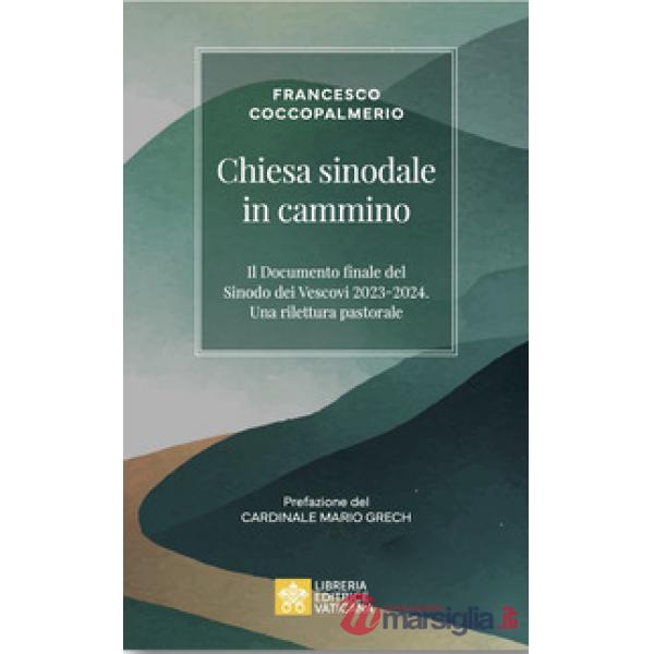 Chiesa sinodale in cammino
